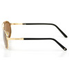 Мужские очки Cartier 8200586g