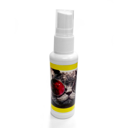 Модель Spray